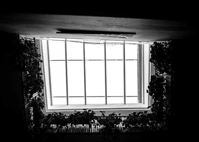 Hotel Palacio Alcázar